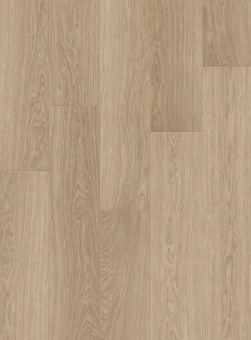 IM8628 Дуб Солёный бриз
