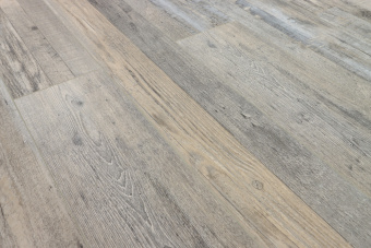 Дуб Марсель 