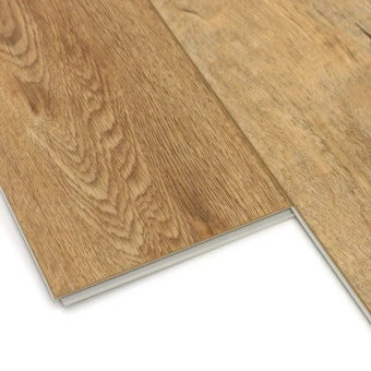 Дуб Робуста 