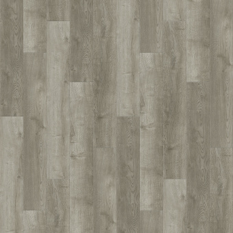 6861 Дуб Форса