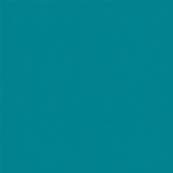 OMNISPORTS ACTION 65 TEAL