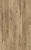 CSPC20299 Дуб северный коричневый
