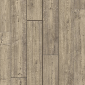 IM1993 Дуб дымчатый