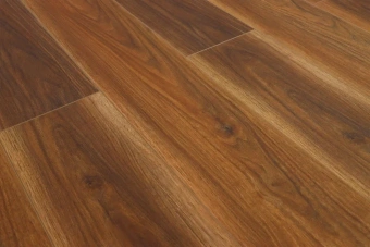 Дуб Красный