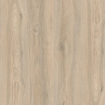 IM8467 Дуб Кедровый