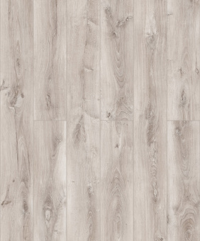 D50407 Дуб Хелльбрунн